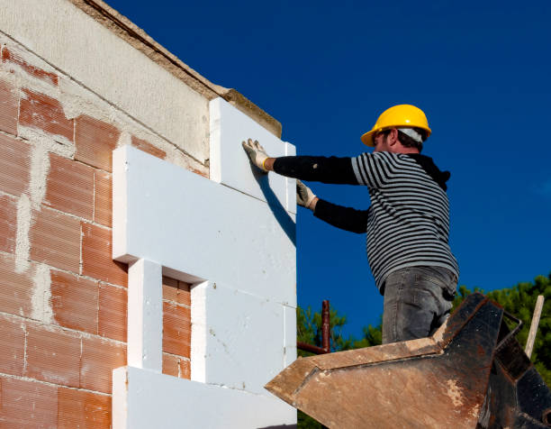 Best Best Insulation Companies  in Camden, AL