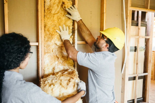 Best Cellulose Insulation  in Camden, AL