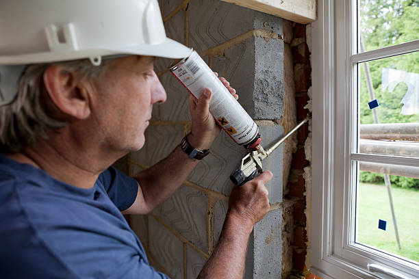 Best Blown-in Insulation  in Camden, AL