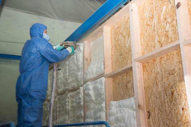 Best Attic Insulation Installation  in Camden, AL
